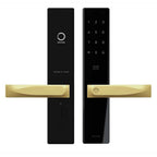 Black digital door lock with gold handles on a white background